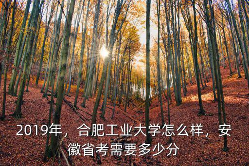 合肥工業大學有多少處級干部,合肥工業大學怎么樣