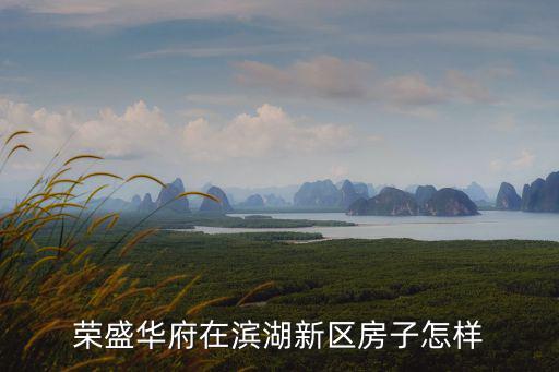 合肥濱湖榮盛華府房價多少,榮盛華府在濱湖新區房子怎樣