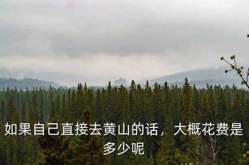 如果自己直接去黃山的話，大概花費是多少呢