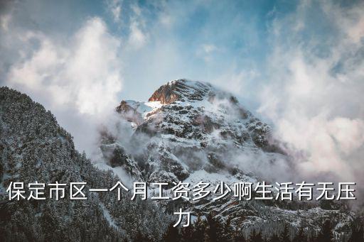 河北保定的工資上調多少,河北養老金上調多少