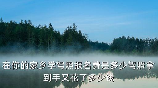 安徽滁州c1駕照多少錢一分,拿C1駕照需要多少錢