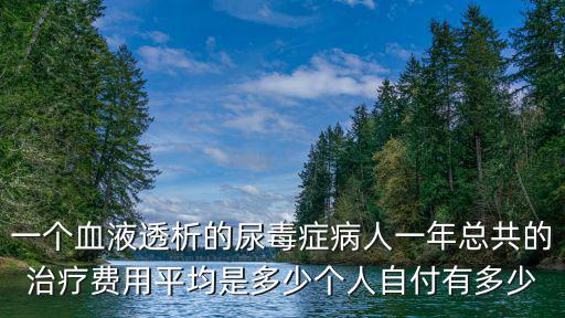 一個血液透析的尿毒癥病人一年總共的治療費用平均是多少個人自付有多少