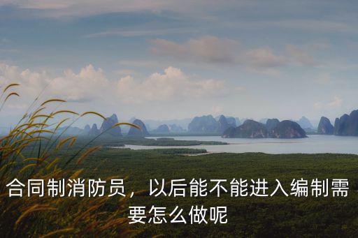 合同制消防員，以后能不能進入編制需要怎么做呢