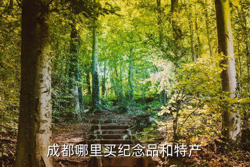 琴臺路在成都哪里,成都晚上哪里最美