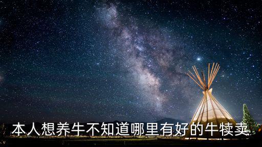 南陽哪里可以賣小牛,哪里買小牛實惠