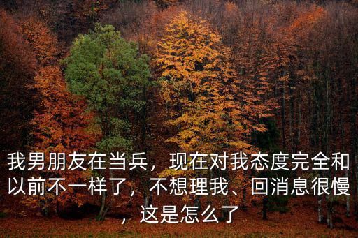 武漢男朋友不想理我怎么辦,他每天不想理我