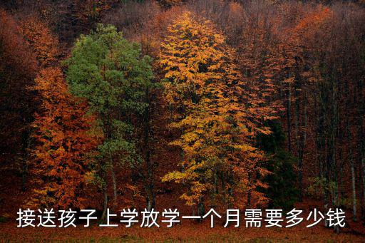 接送孩子上學放學一個月需要多少錢