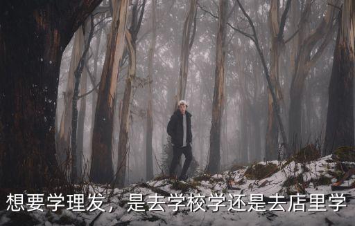 想要學理發，是去學校學還是去店里學