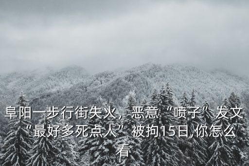 阜陽一步行街失火，惡意“噴子”發(fā)文“最好多死點(diǎn)人”被拘15日,你怎么看