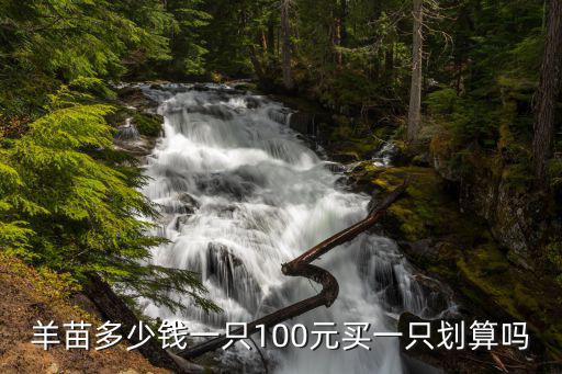邯鄲種公羊多少錢(qián)一只三十斤,羊苗多少錢(qián)一只
