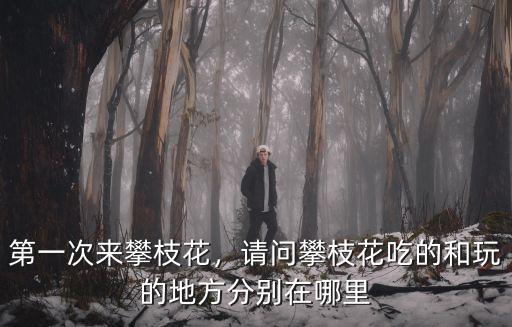 第一次來攀枝花，請問攀枝花吃的和玩的地方分別在哪里