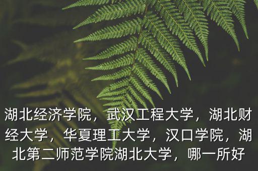 湖北經濟學院，武漢工程大學，湖北財經大學，華夏理工大學，漢口學院，湖北第二師范學院湖北大學，哪一所好