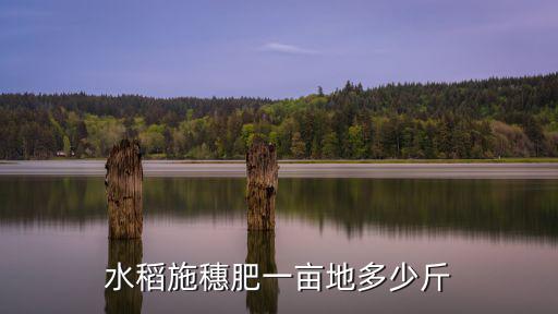 水稻施穗肥一畝地多少斤