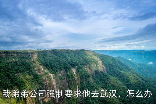 武漢封城 企業怎么辦,武漢還封城嗎