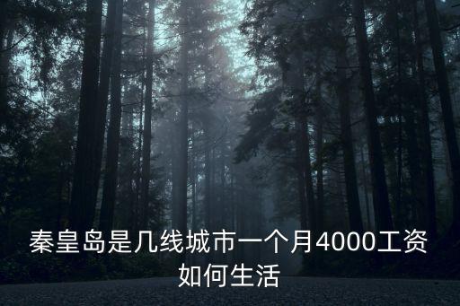 秦皇島是幾線城市一個月4000工資如何生活