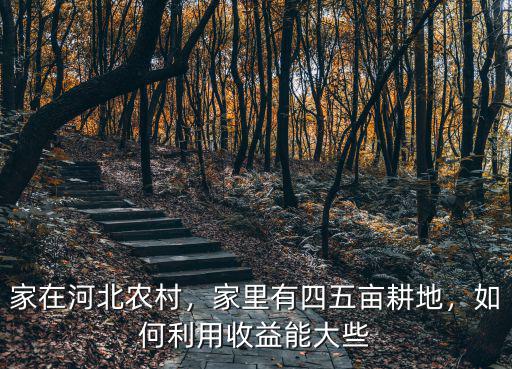 河北省有多少畝農田,每個農民基本農田是多少畝