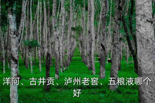 洋河、古井貢、瀘州老窖、五糧液哪個好