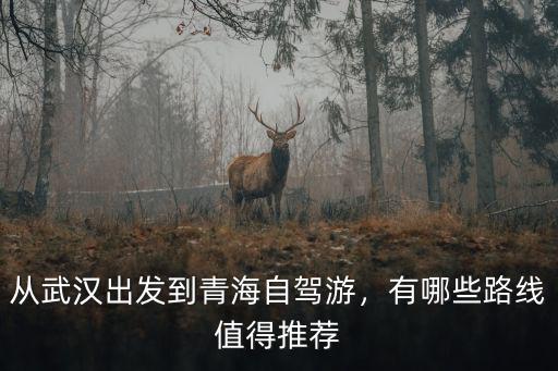 從武漢到青海西寧自駕游怎么走,從武漢出發到青海自駕游