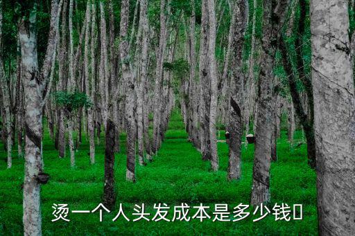 秦皇島燙頭發多少錢,燙一個人頭發成本是多少錢