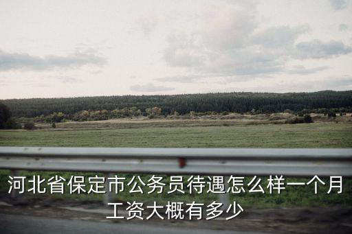 保定市書記員一個月工資多少,聘用制書記員工資多少