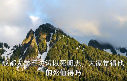 成都大學(xué)毛洪濤以死明志，大家覺得他的死值得嗎