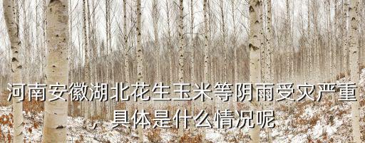 河南安徽湖北花生玉米等陰雨受災(zāi)嚴(yán)重，具體是什么情況呢