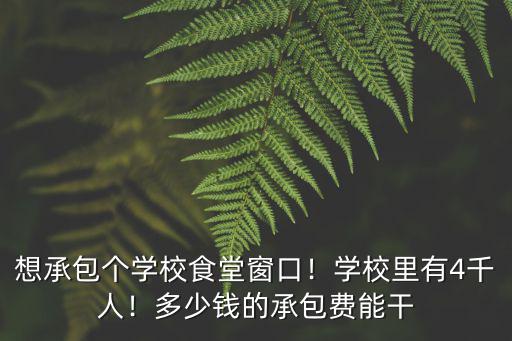 安徽學校食堂承包多少錢,想承包個學校食堂窗口