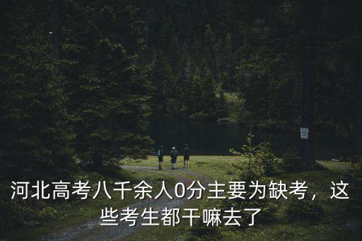 河北高考八千余人0分主要為缺考，這些考生都干嘛去了