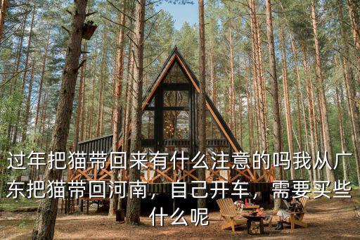 貓怎么從廣州帶回湖北,我從廣東把貓帶回河南