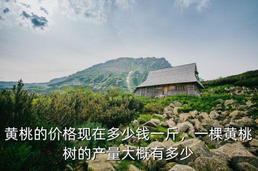 張家口黃桃批發多少錢一斤,黃桃的價格現在多少錢一斤