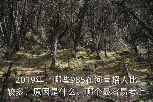 武大每年在河南招多少人,哪些985在河南招人比較多