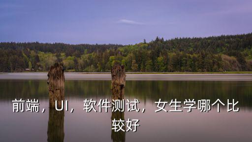 前端，UI，軟件測試，女生學哪個比較好