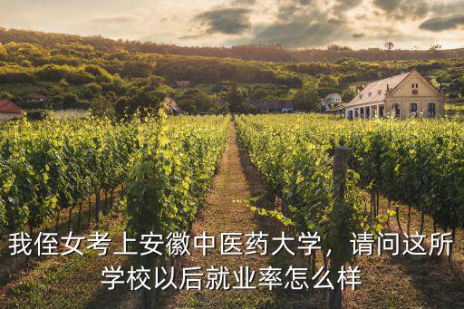 我侄女考上安徽中醫(yī)藥大學(xué)，請問這所學(xué)校以后就業(yè)率怎么樣