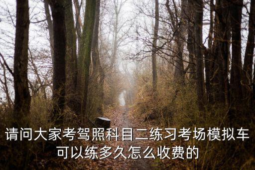 合肥科目二考試車模擬多少錢,科目二模擬費500