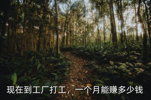 現在到工廠打工，一個月能賺多少錢