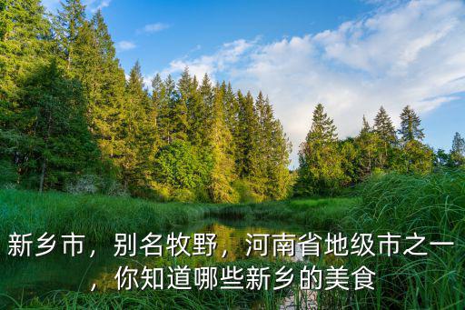 新鄉市，別名牧野，河南省地級市之一，你知道哪些新鄉的美食