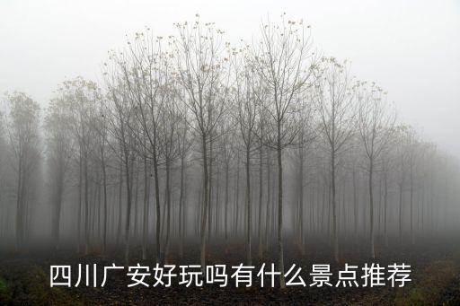 四川廣安避暑哪里好玩,四川廣安的哪個景點最好玩