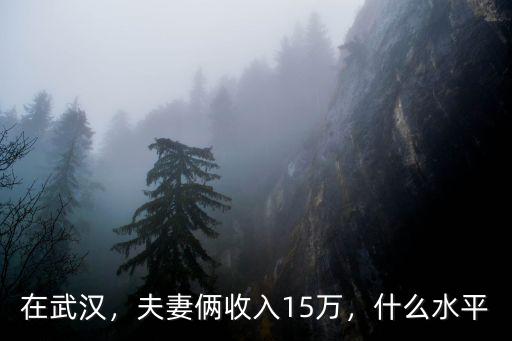 在武漢年入18萬怎么樣,在武漢年入20萬是什么感覺
