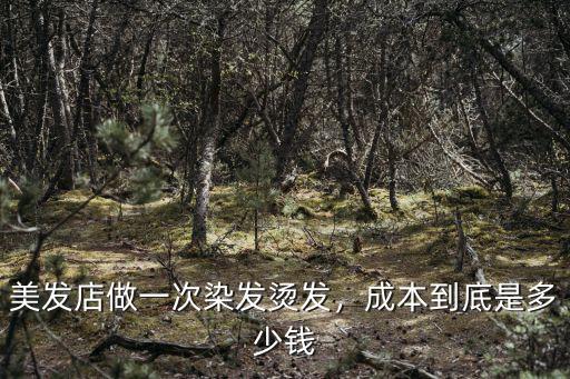 美發(fā)店做一次染發(fā)燙發(fā)，成本到底是多少錢