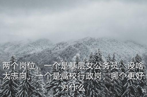兩個(gè)崗位，一個(gè)是基層女公務(wù)員，沒啥大志向，一個(gè)是高校行政崗，哪個(gè)更好為什么