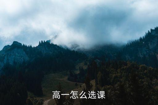 2018孝感高中怎么選課,高中選課該怎么選