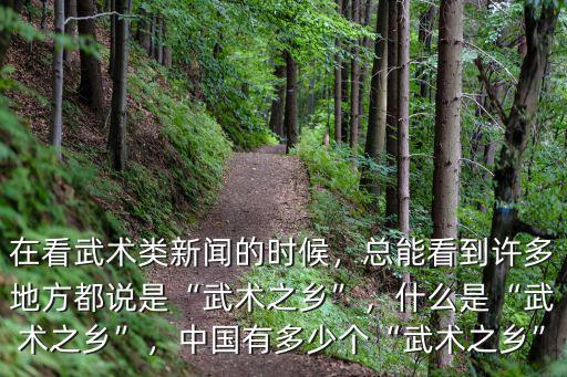 滄州有多少個武術門派,中國有多少個武術之鄉