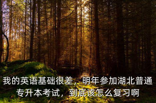 我的英語基礎很差，明年參加湖北普通專升本考試，到底該怎么復習啊