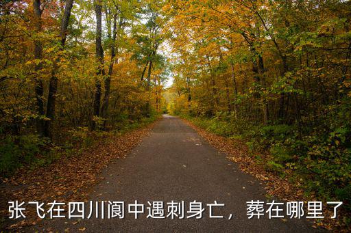 四川人葬在哪里,諸葛亮是四川人嗎