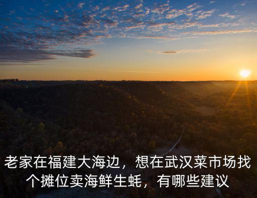 老家在福建大海邊，想在武漢菜市場找個攤位賣海鮮生蠔，有哪些建議