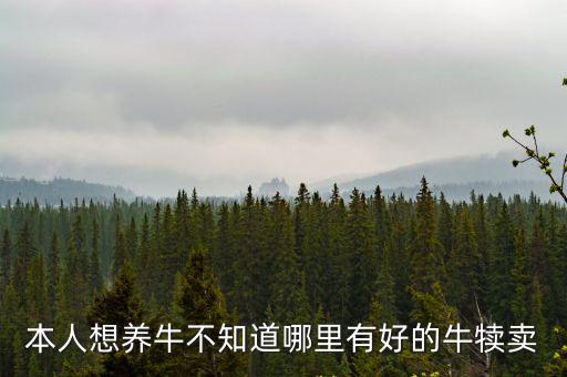 四川宜賓哪里有西門塔爾小牛出售,哪里有牛苗出售