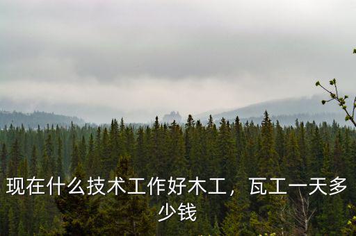 現在什么技術工作好木工，瓦工一天多少錢