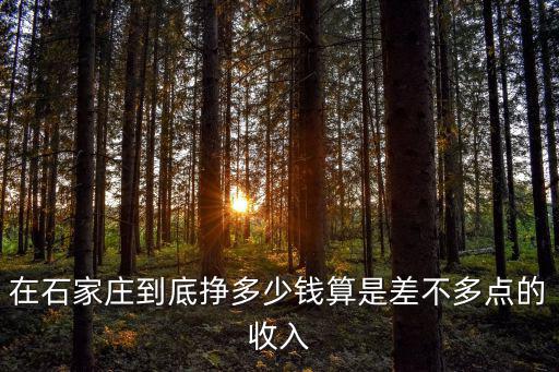 在石家莊到底掙多少錢(qián)算是差不多點(diǎn)的收入