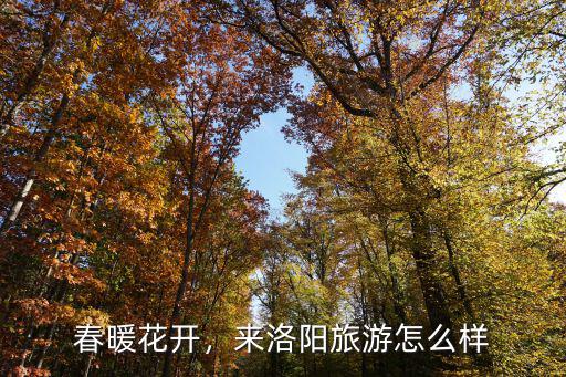 洛陽洛龍陳村怎么規劃,洛陽地鐵規劃了幾條線