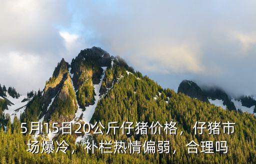 河北的仔豬多少錢,2019仔豬多少錢一頭